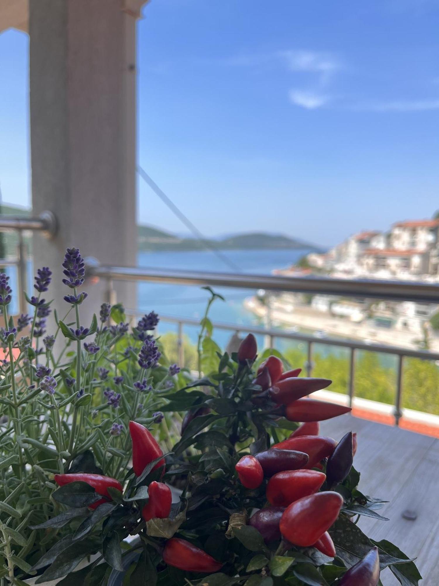 Villa Ljiljana 네움 객실 사진